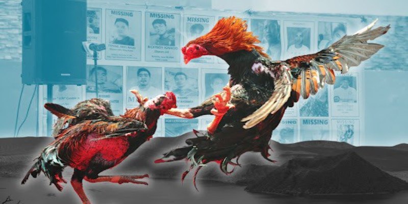 Đăng ký tham gia đá gà hợp pháp 8KBET